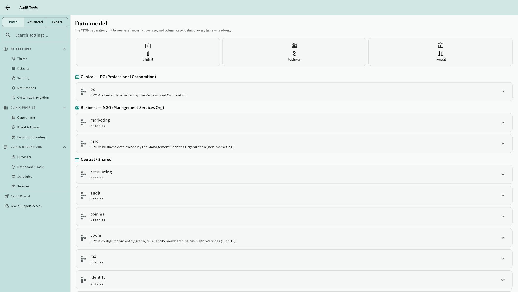 Audit tools: CPOM data-model separation and row-level-security coverage, inspectable in-app